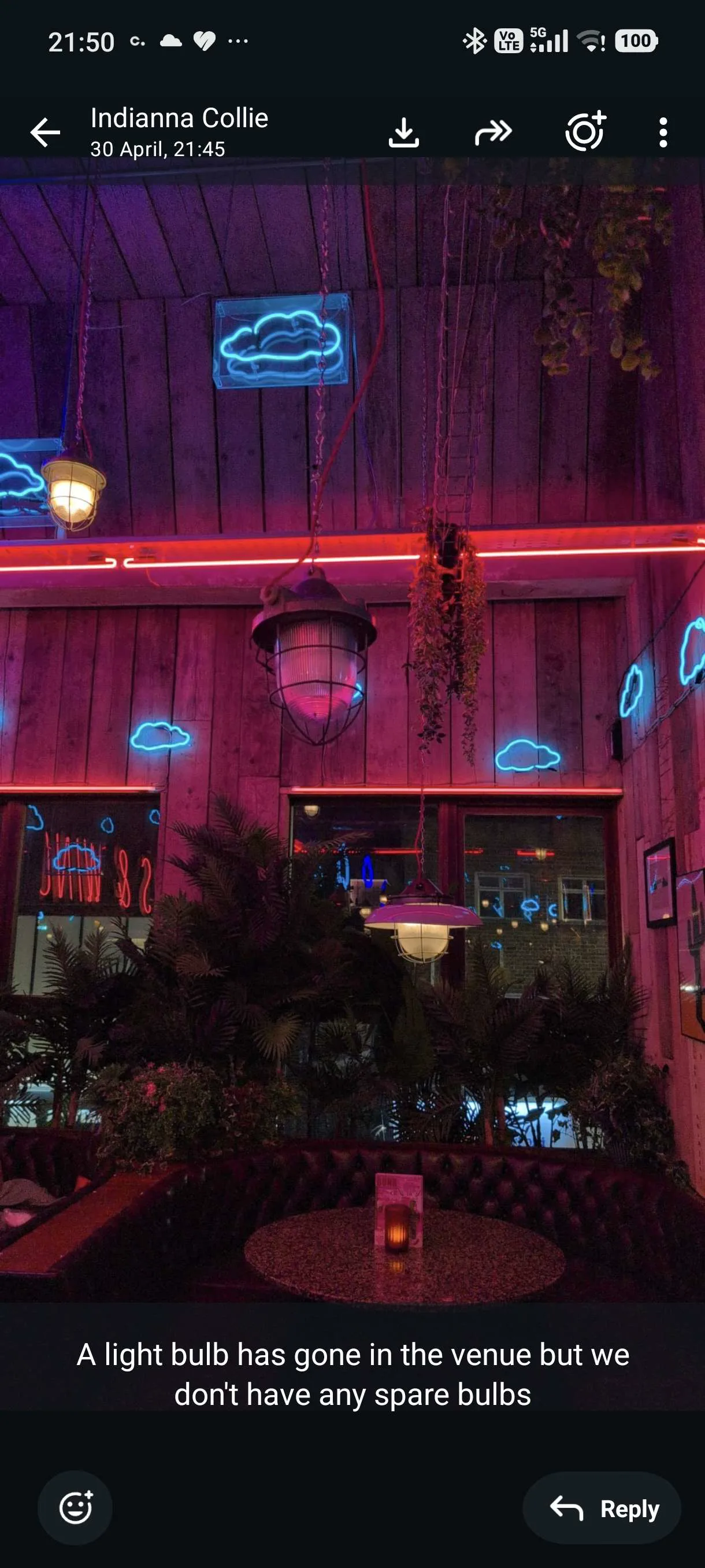 Pendant lighting at Bunk Leicester